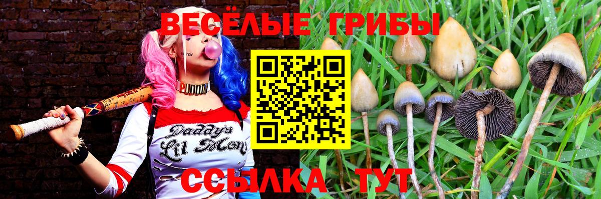 Псилоцибиновые грибы Magic Shrooms  Вход с VPN  Советская Гавань 