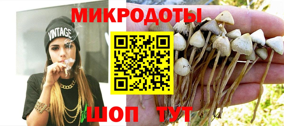 Псилоцибиновые грибы Psilocybine cubensis Советская Гавань